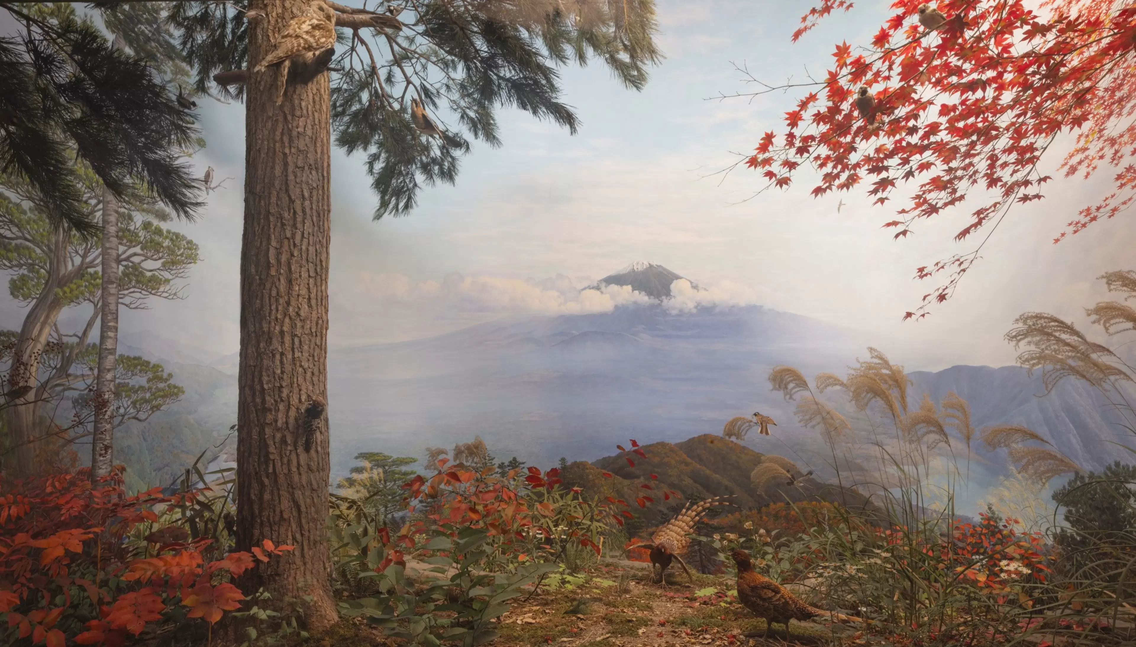 Hiroshi Sugimoto Diorama