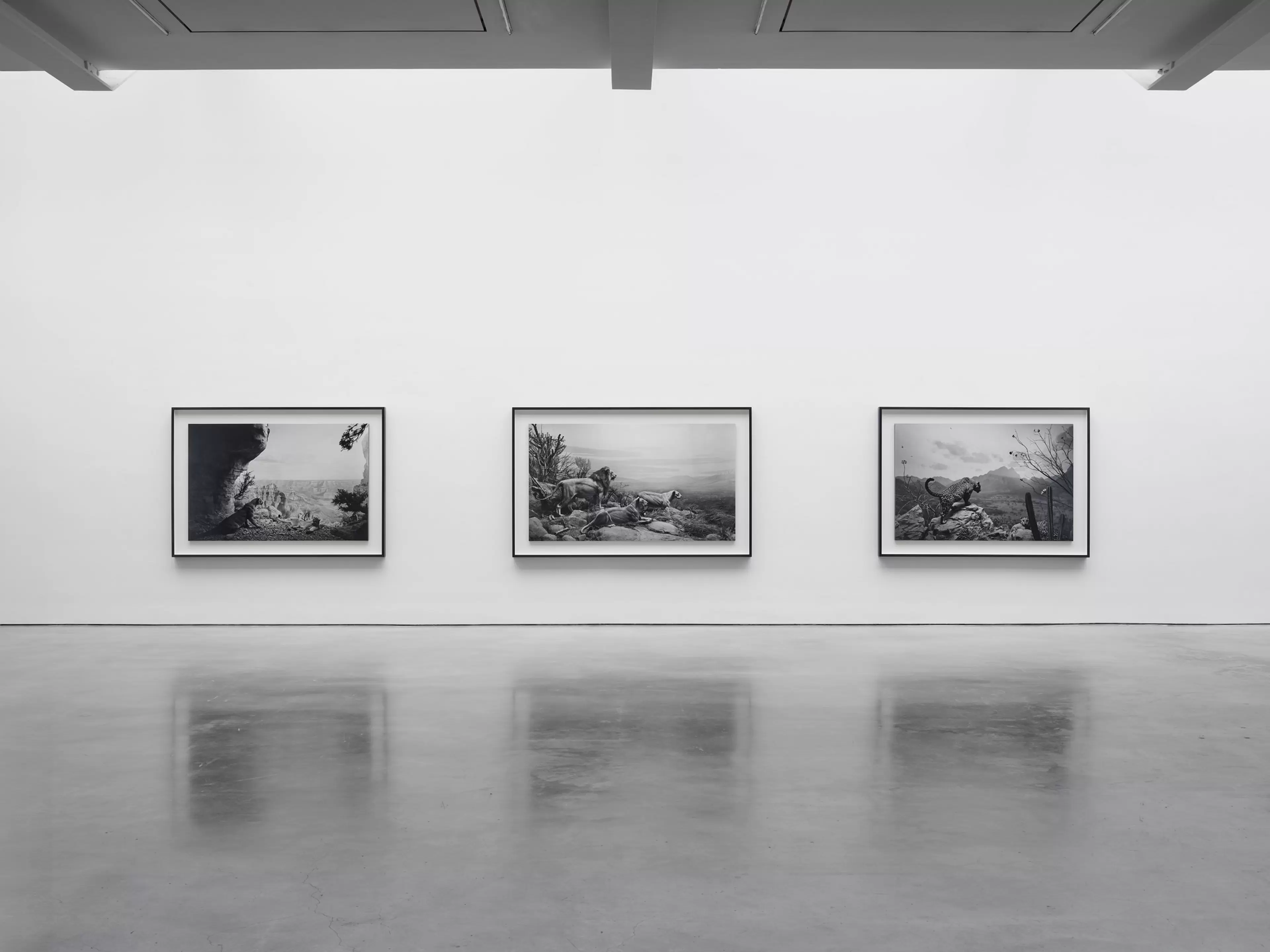 Installation view of Hiroshi Sugimoto: Unnatural Habitat 15 September – 24 October 2026 New York