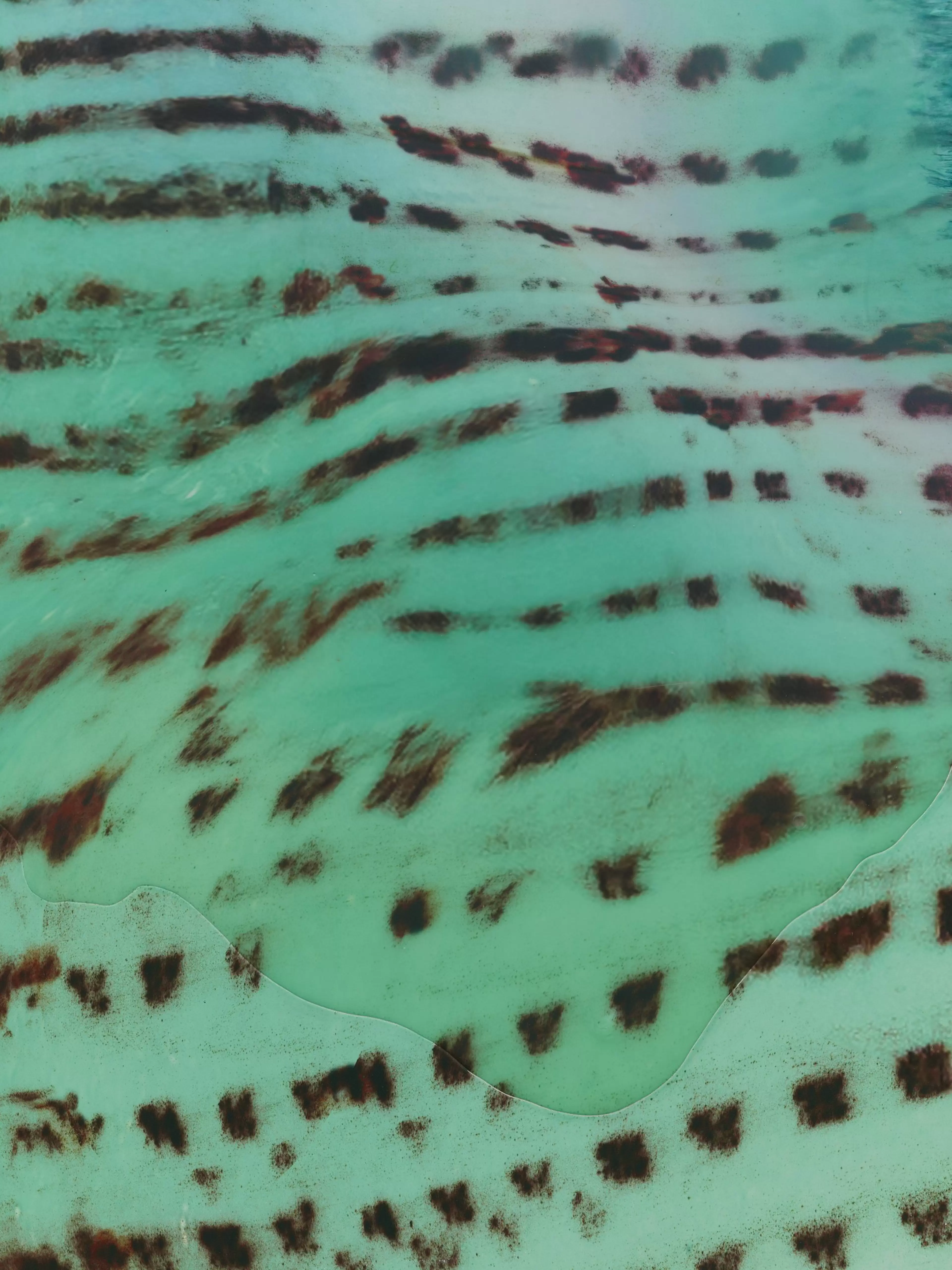 Detail of Tishan Hsu, cheetah-grass (2026), mixed-media work combining UV print, silicone, ink, stainless steel, acrylic and urethane on wood.