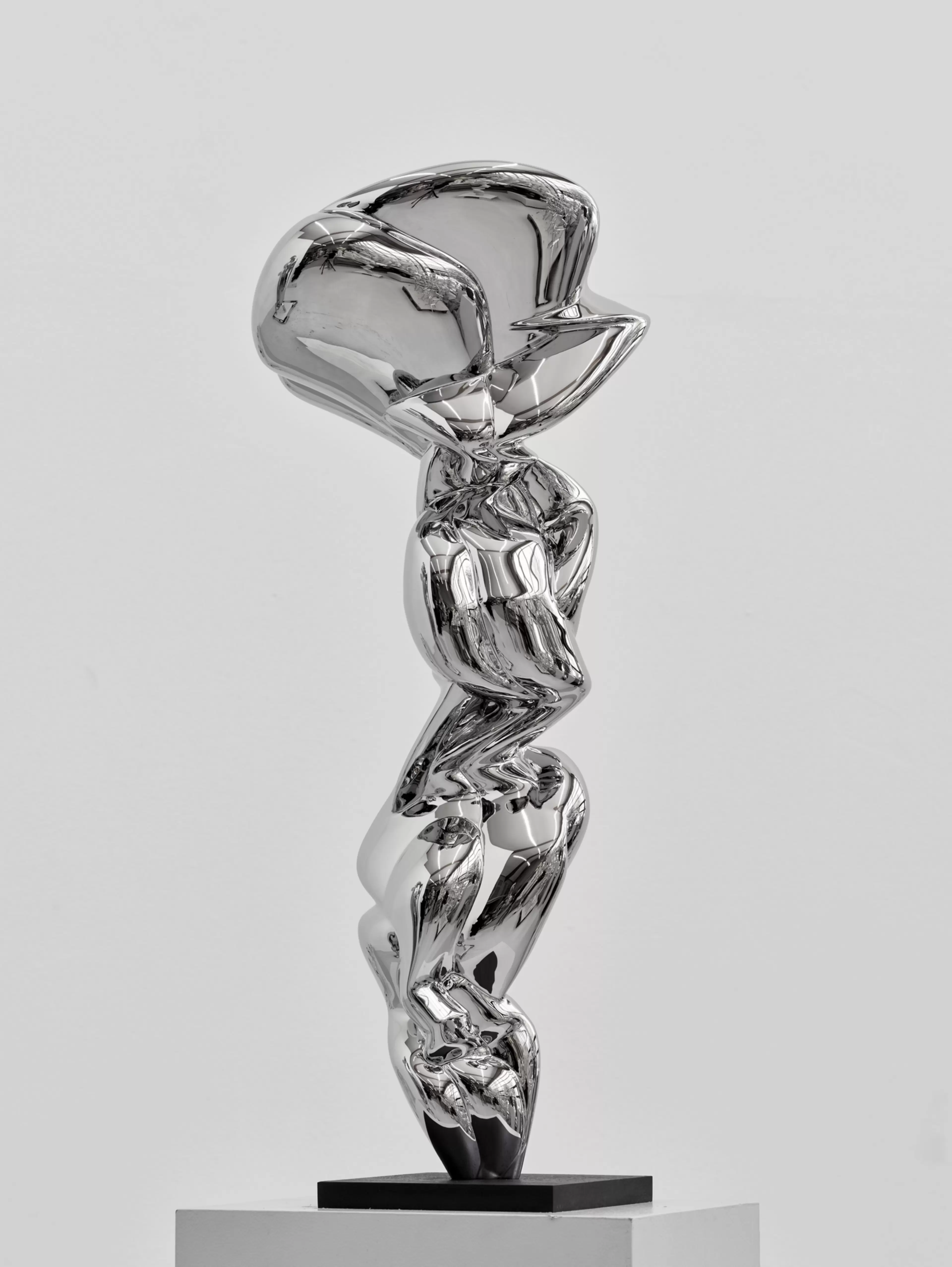 Justine by Tony Cragg