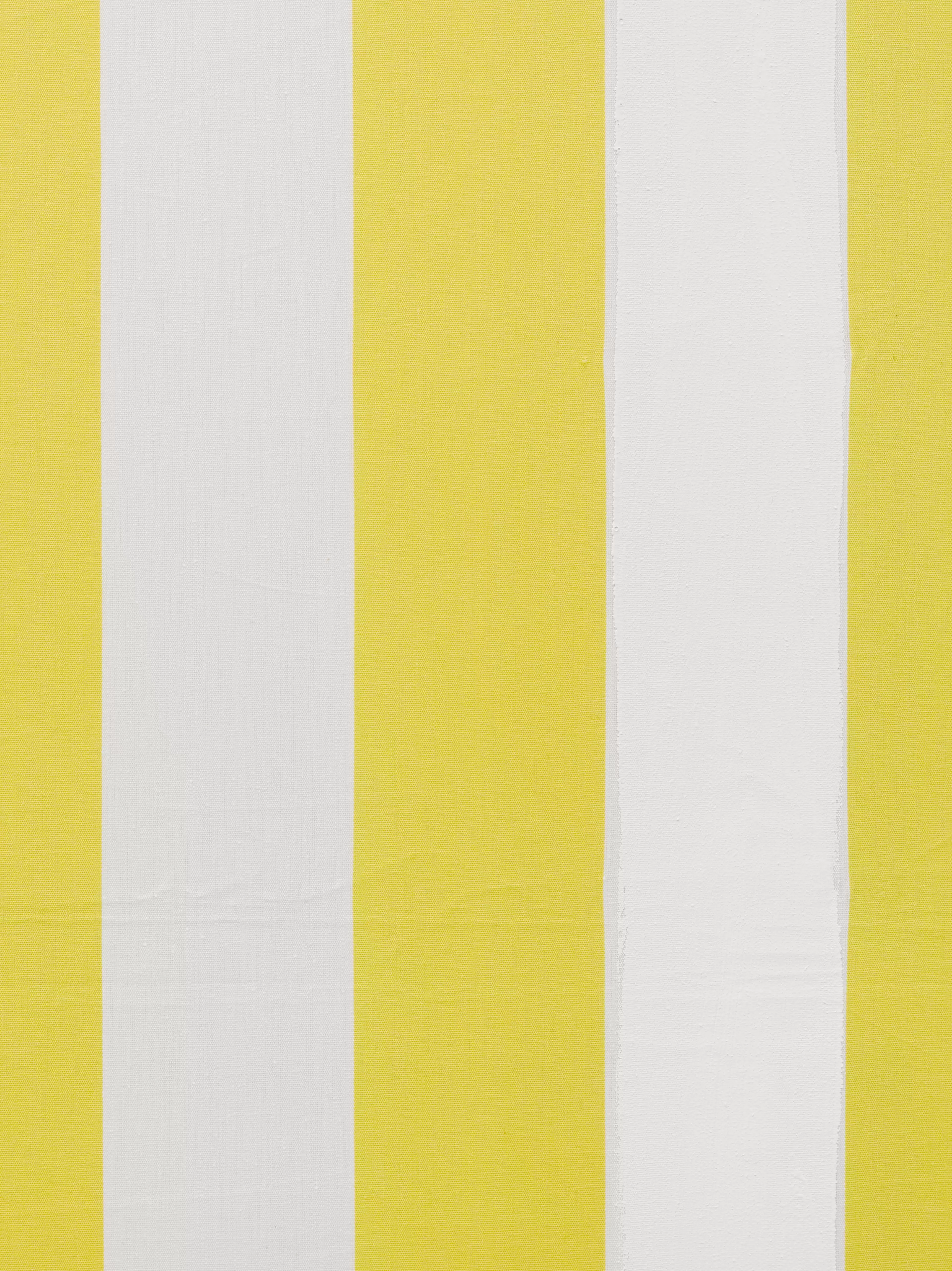 Daniel Buren artwork