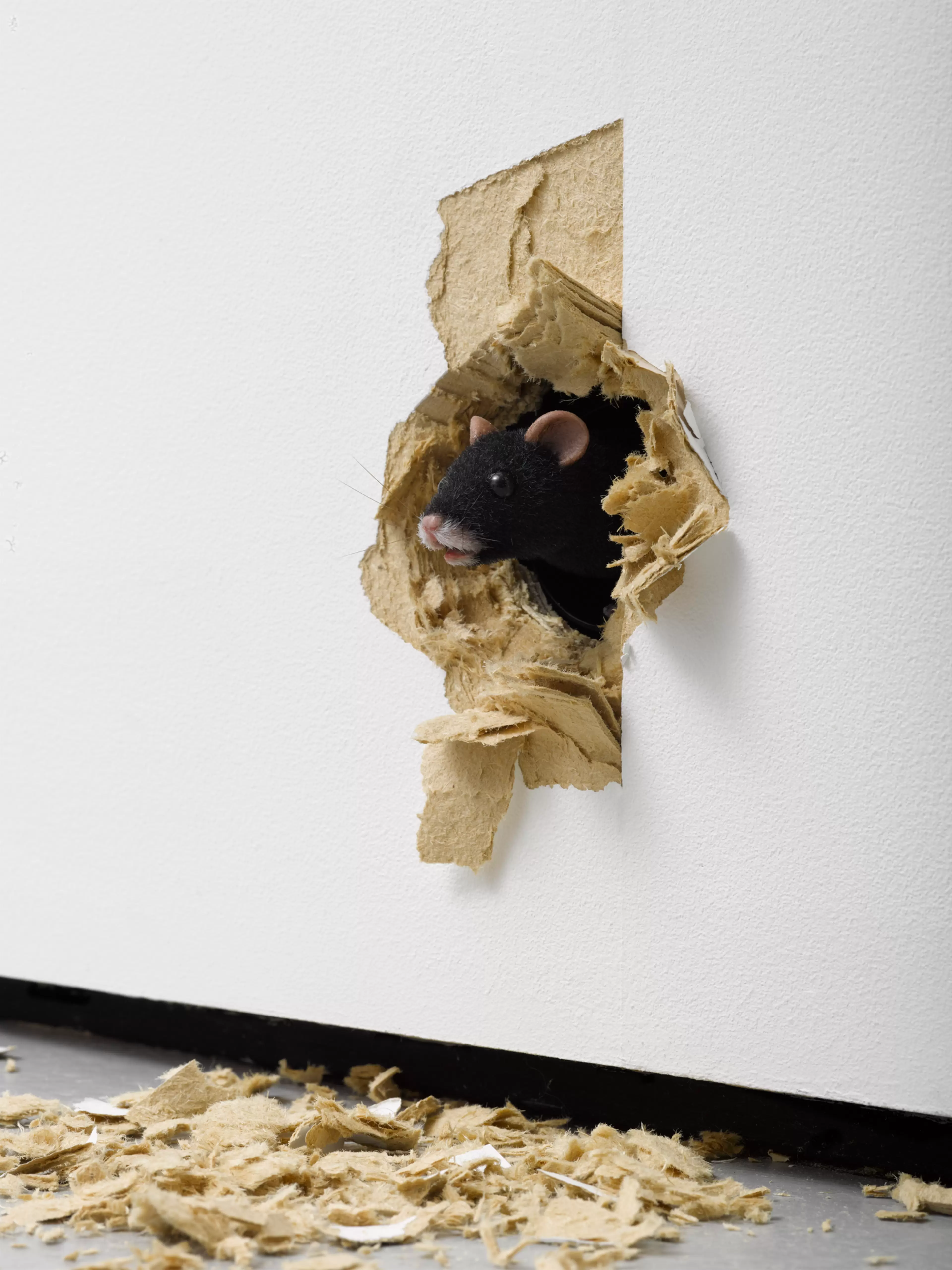 'The End' by Ryan Gander