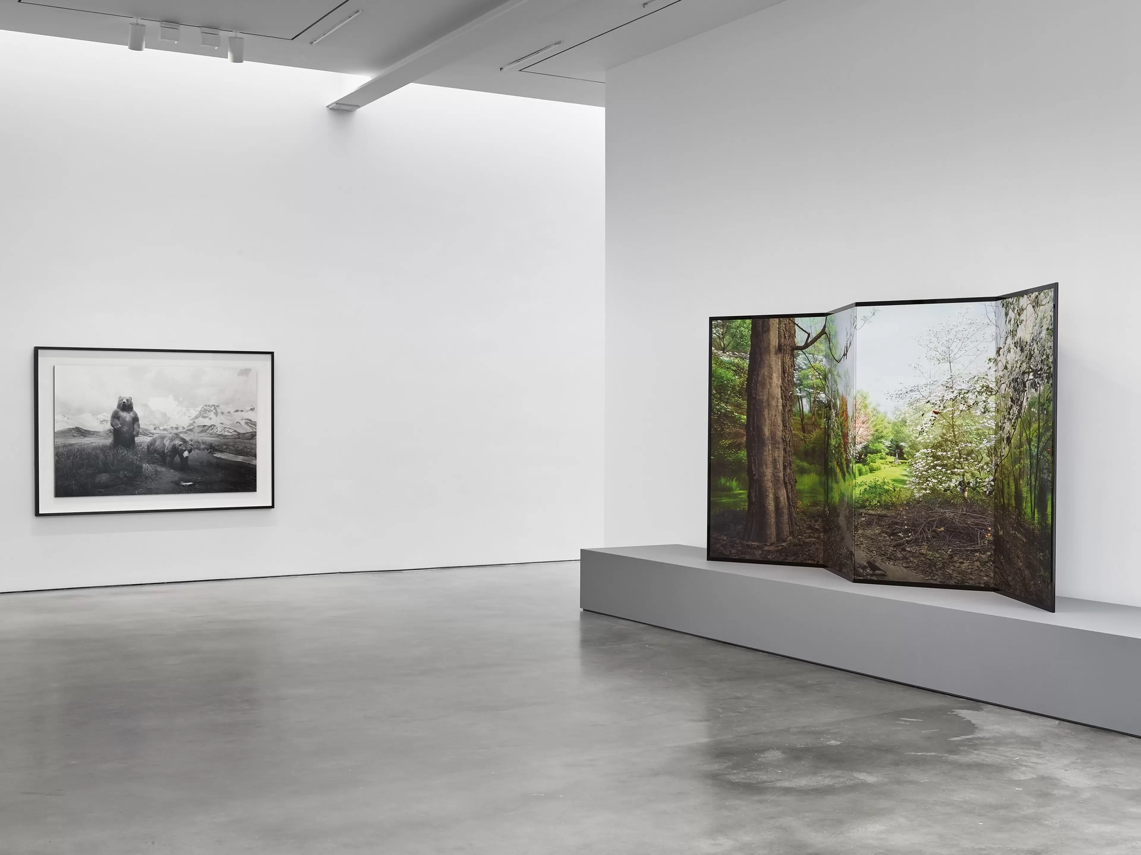 Installation view of Hiroshi Sugimoto: Unnatural Habitat 15 September – 24 October 2026 New York