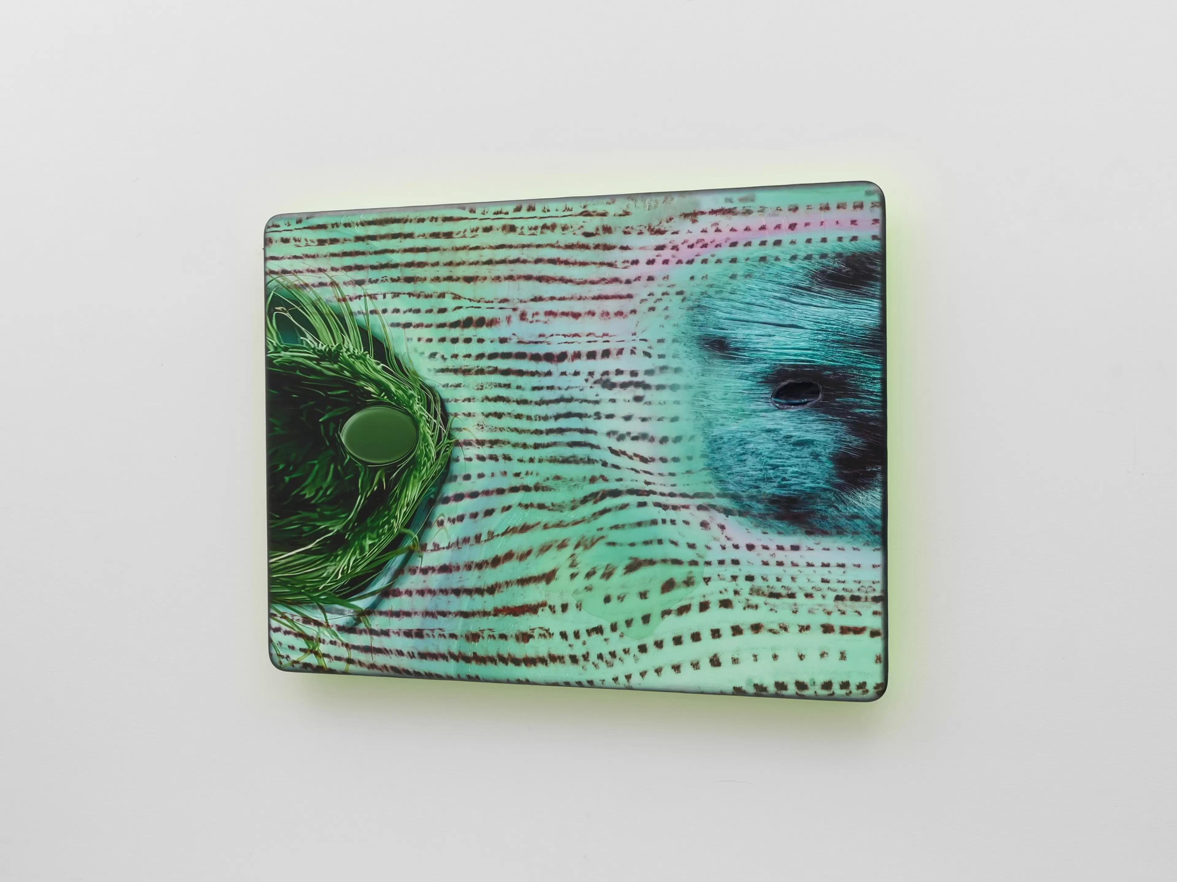 Tishan Hsu, cheetah-grass (2026), mixed-media work combining UV print, silicone, ink, stainless steel, acrylic and urethane on wood.