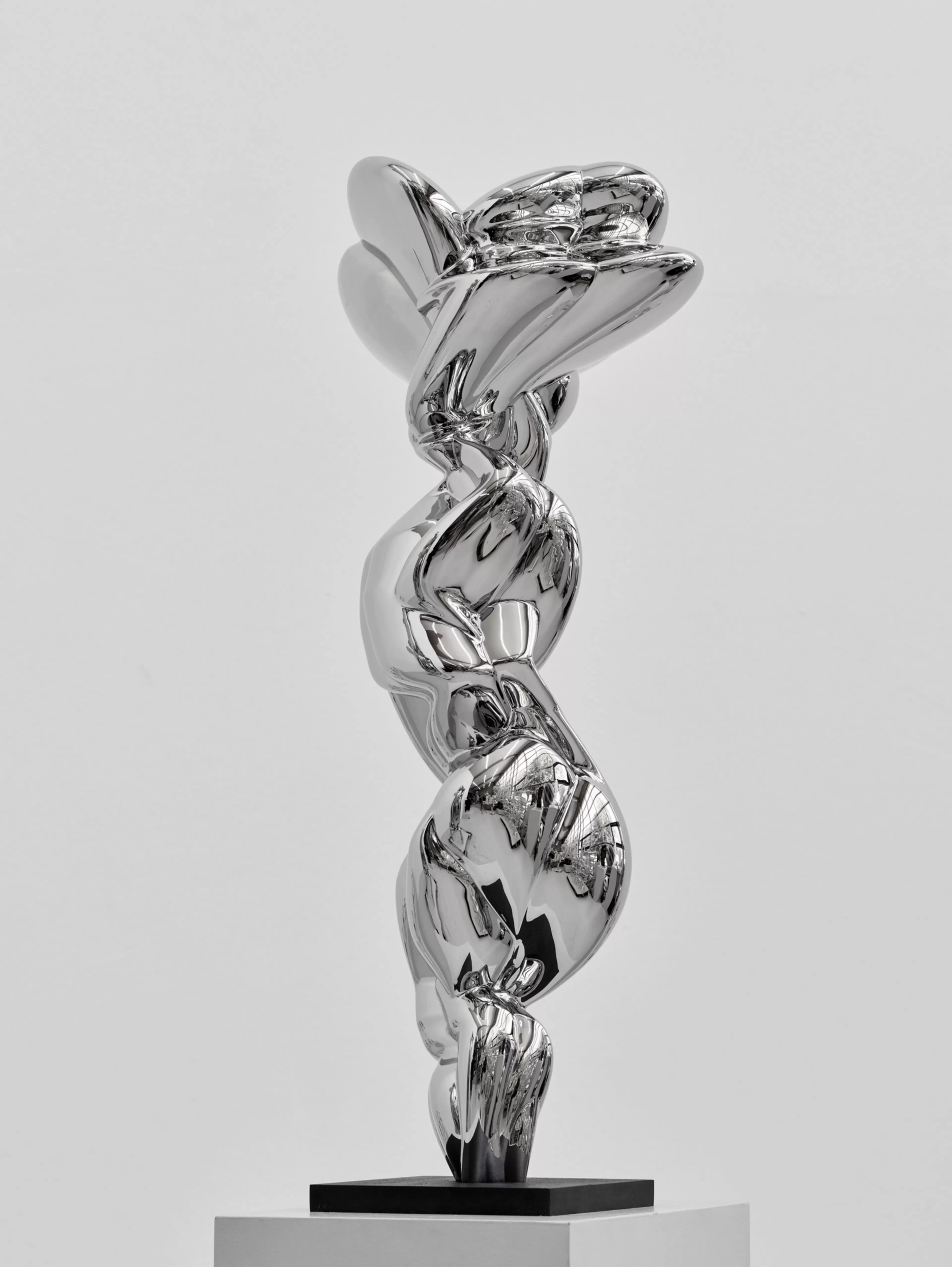 Justine by Tony Cragg