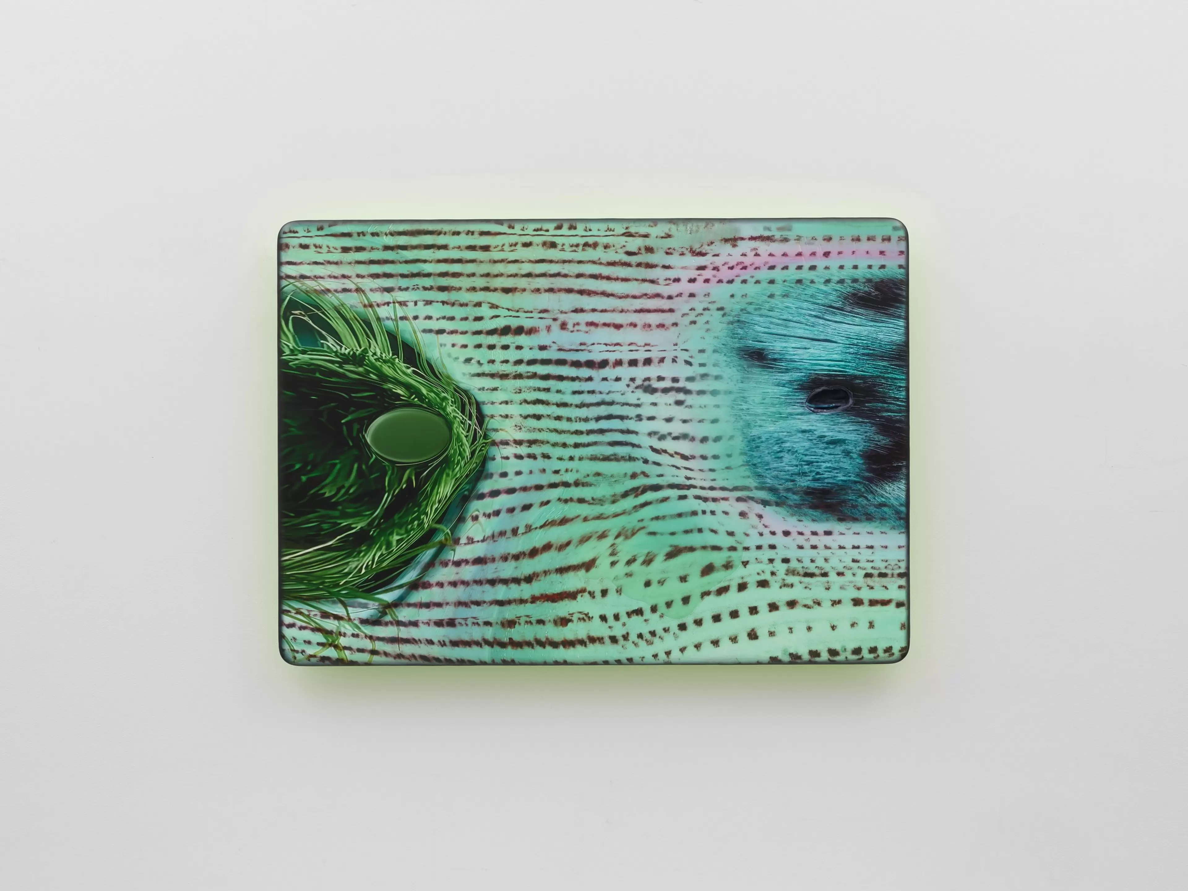 Tishan Hsu, cheetah-grass (2026), mixed-media work combining UV print, silicone, ink, stainless steel, acrylic and urethane on wood.