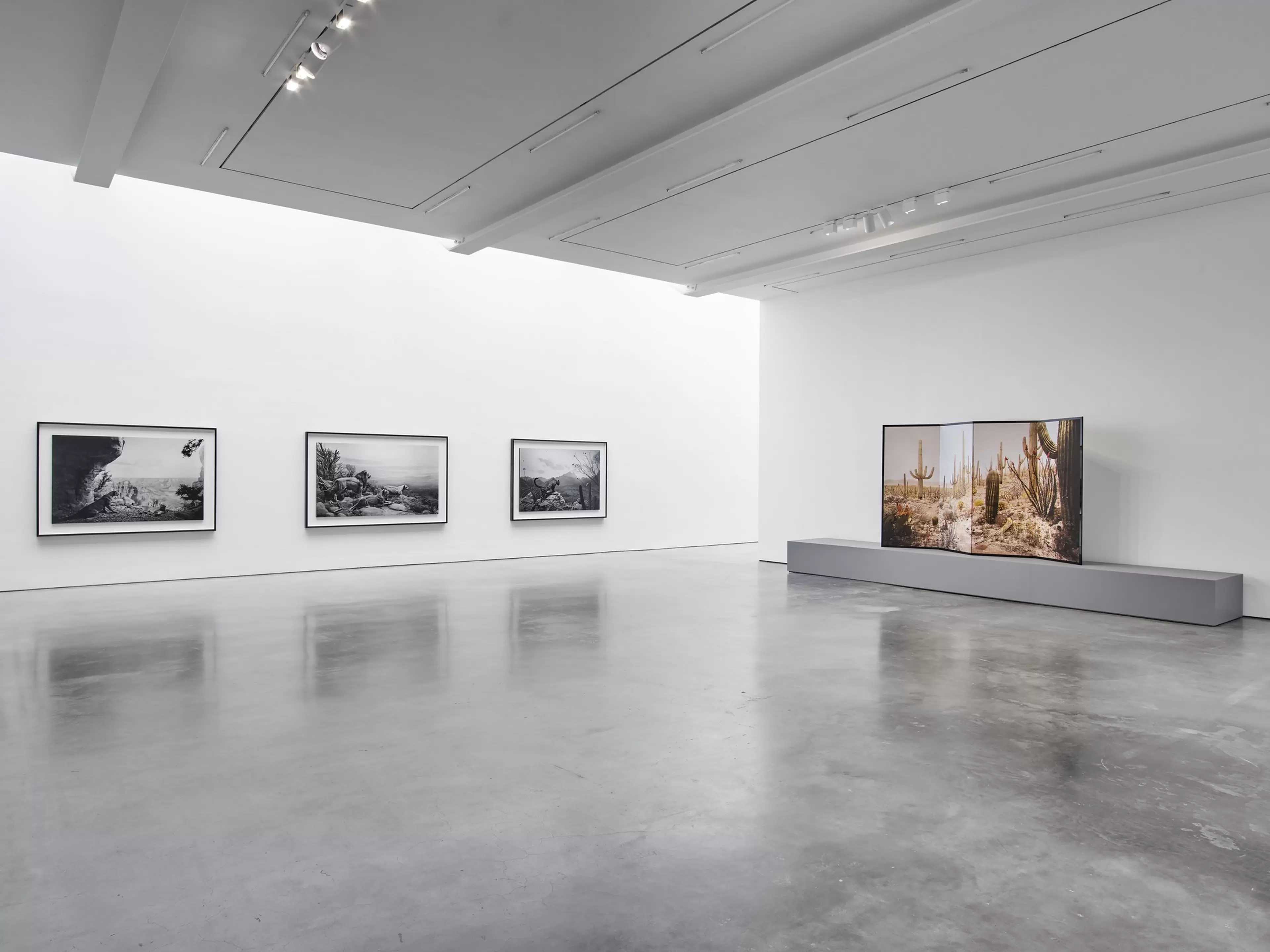 Installation view of Hiroshi Sugimoto: Unnatural Habitat 15 September – 24 October 2026 New York