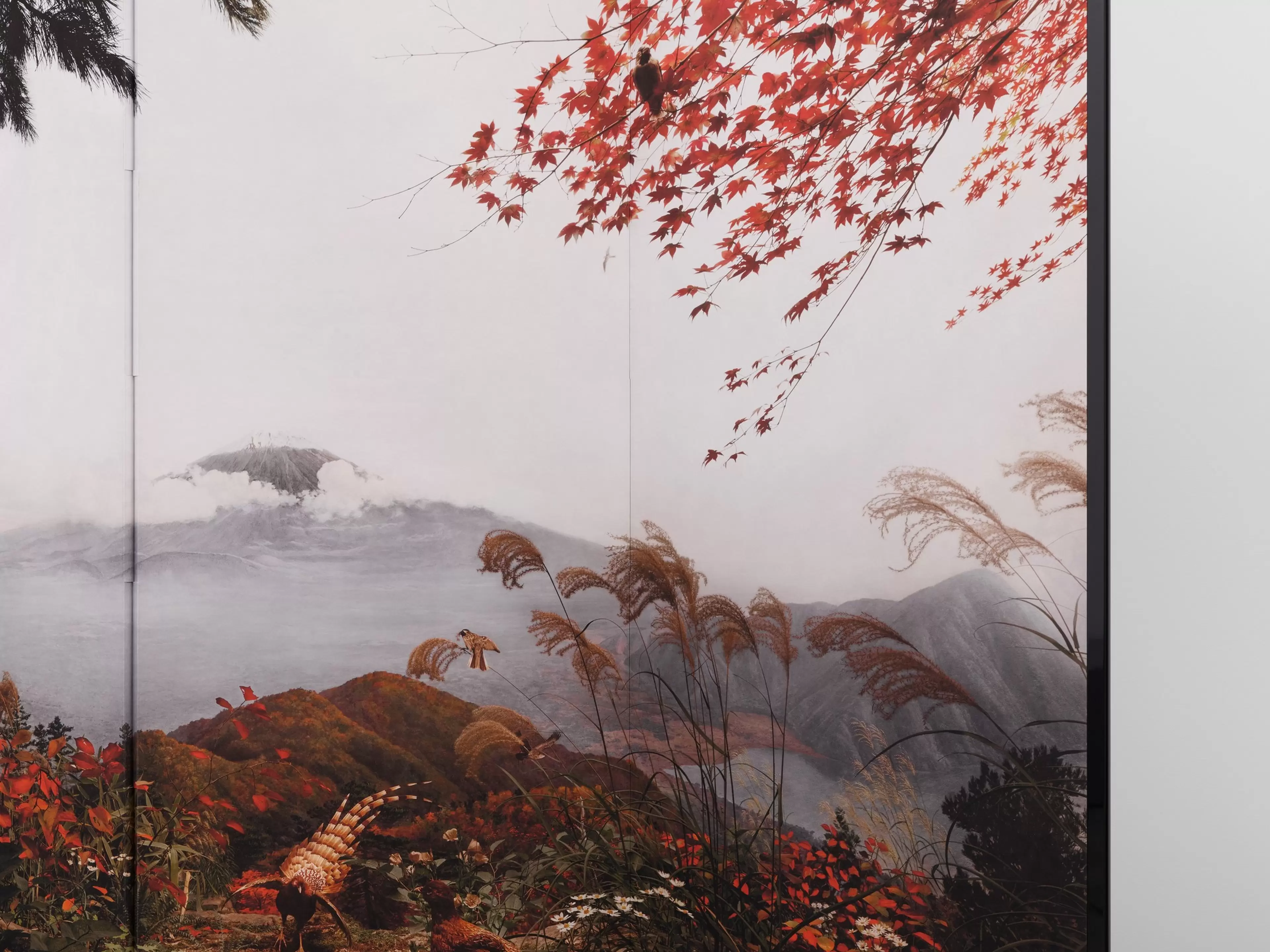 Birds of Japan by Hiroshi Sugimoto