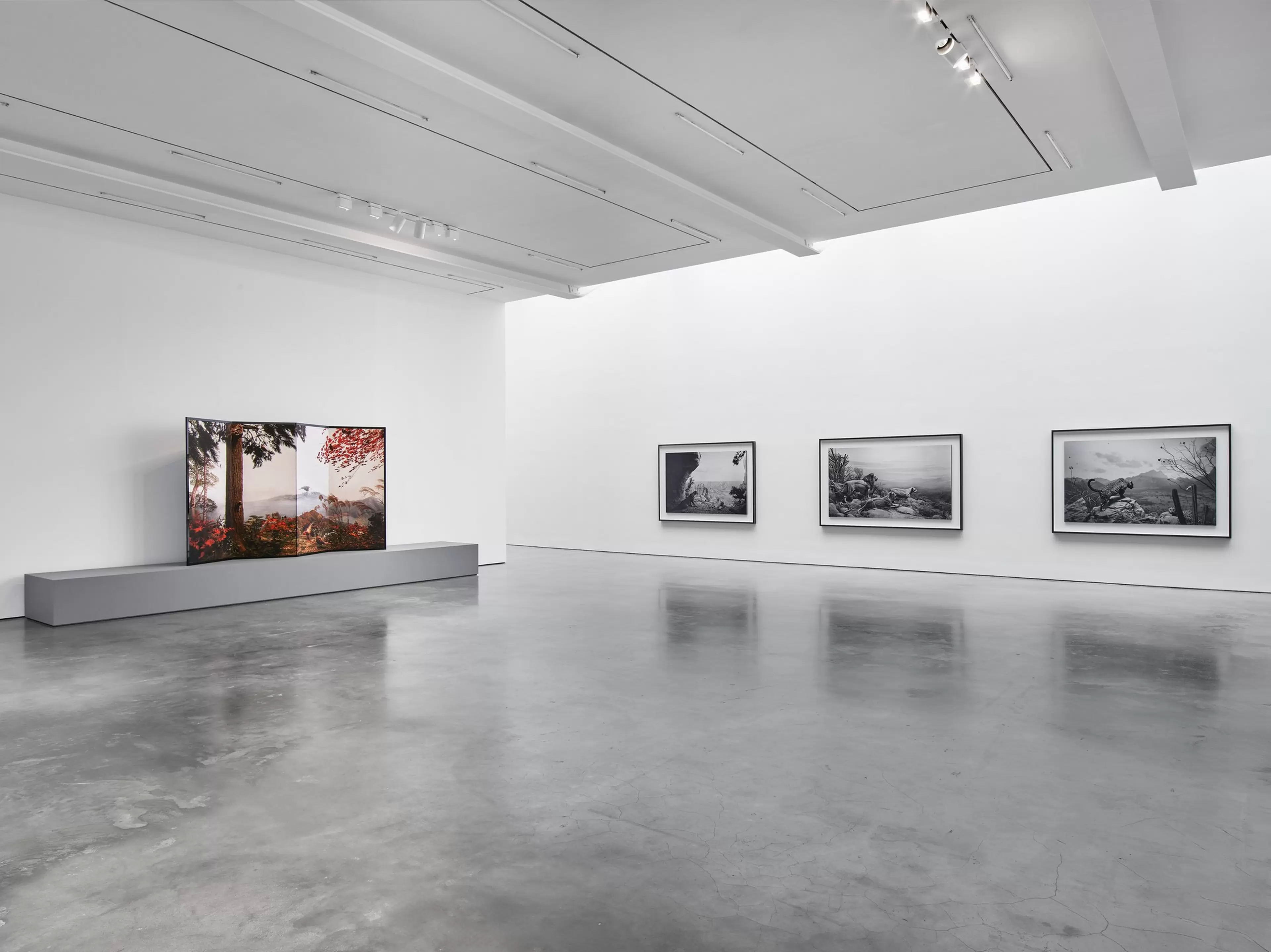 Installation view of Hiroshi Sugimoto: Unnatural Habitat 15 September – 24 October 2026 New York