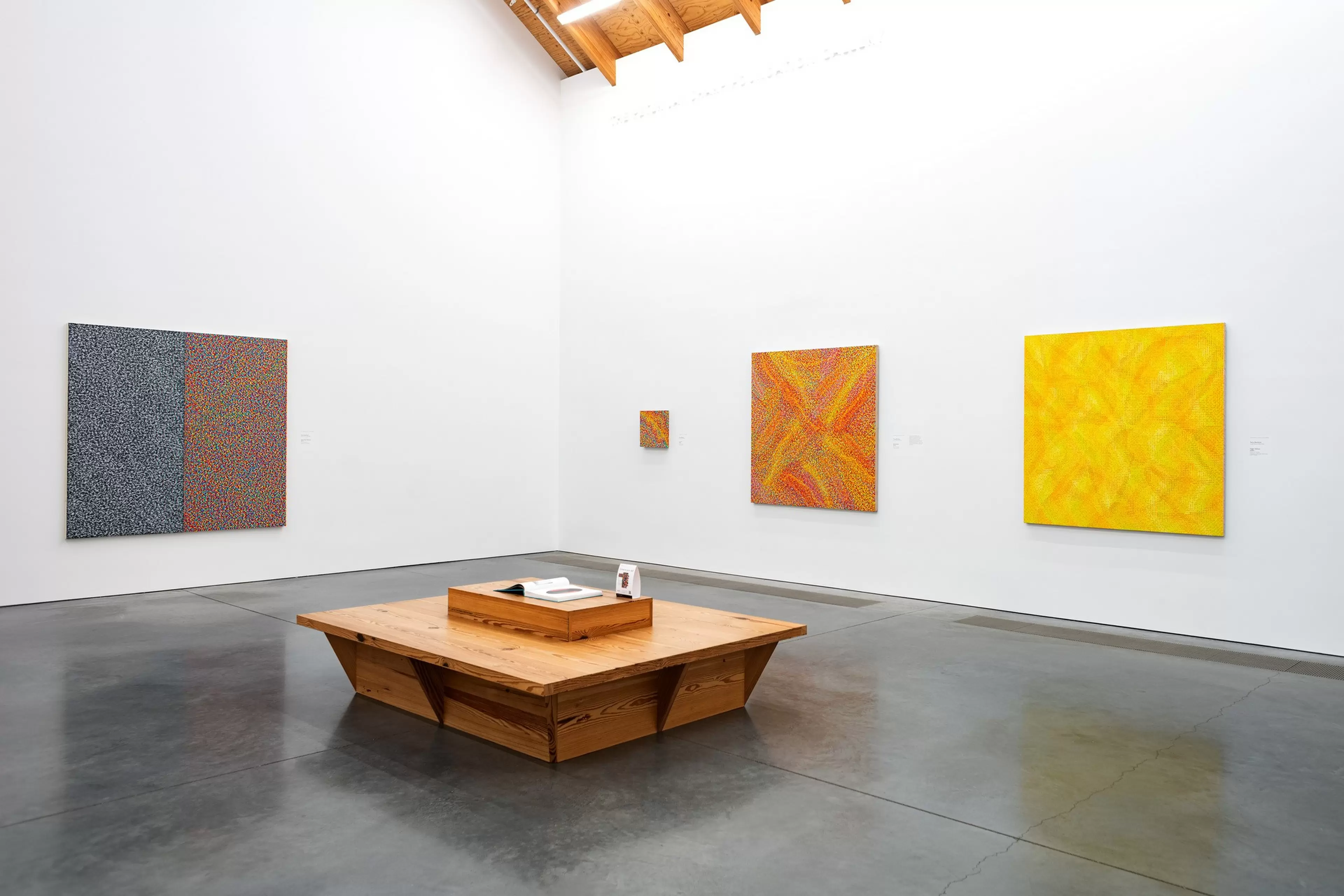 Tony Bechara Installation View
