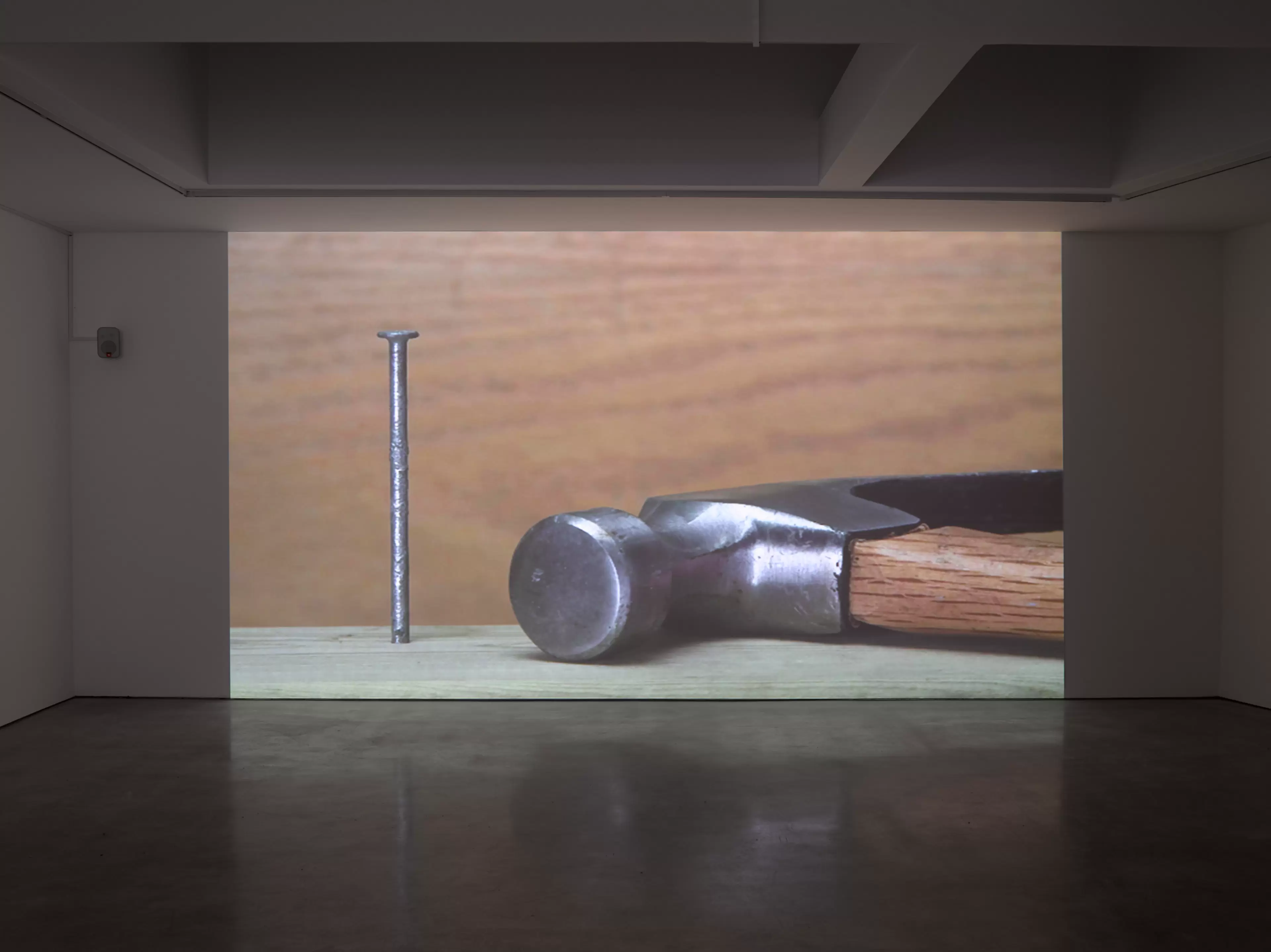 Hammer and Nail by Ceal Floyer