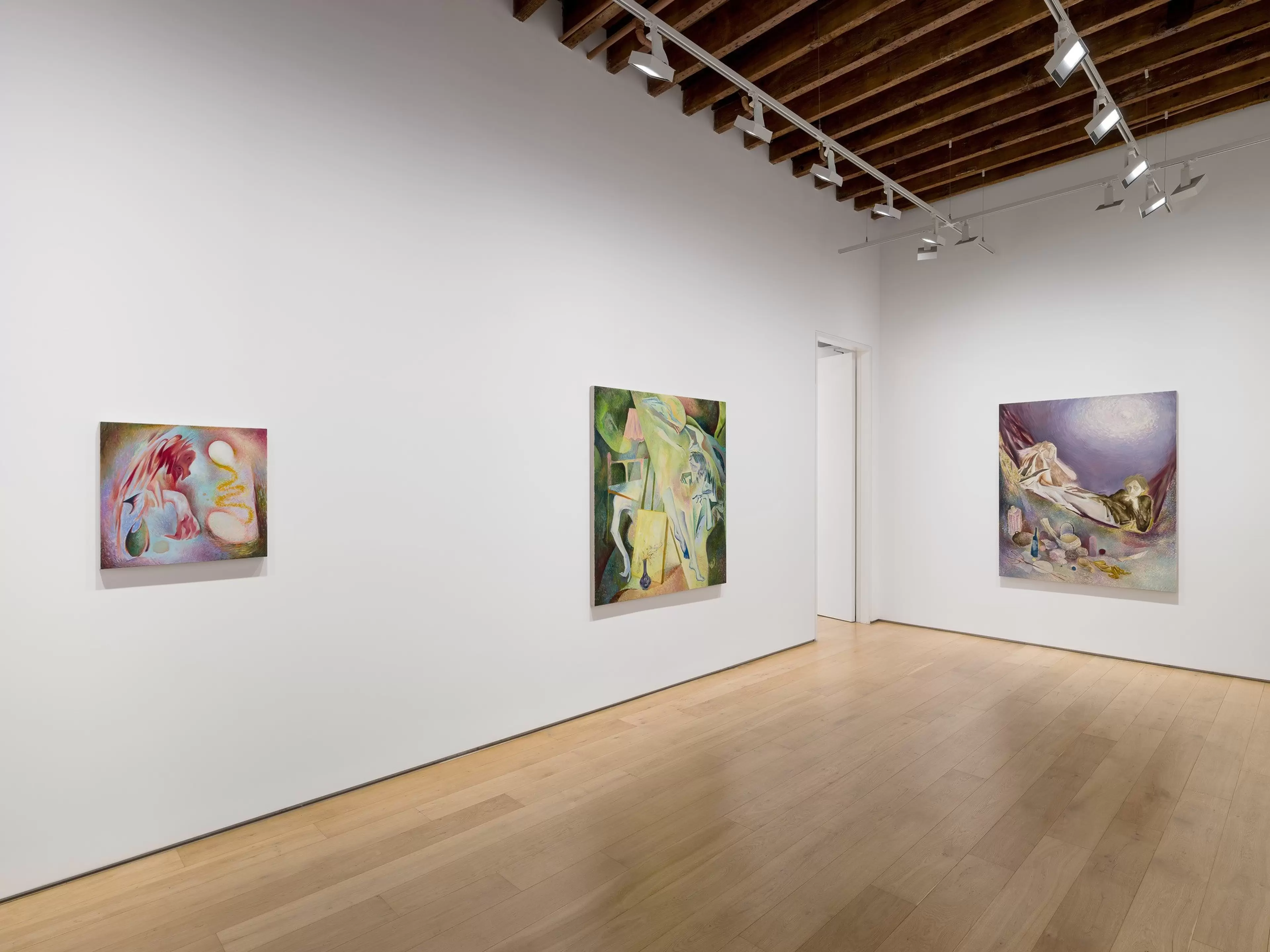 Li Ran Installation Views