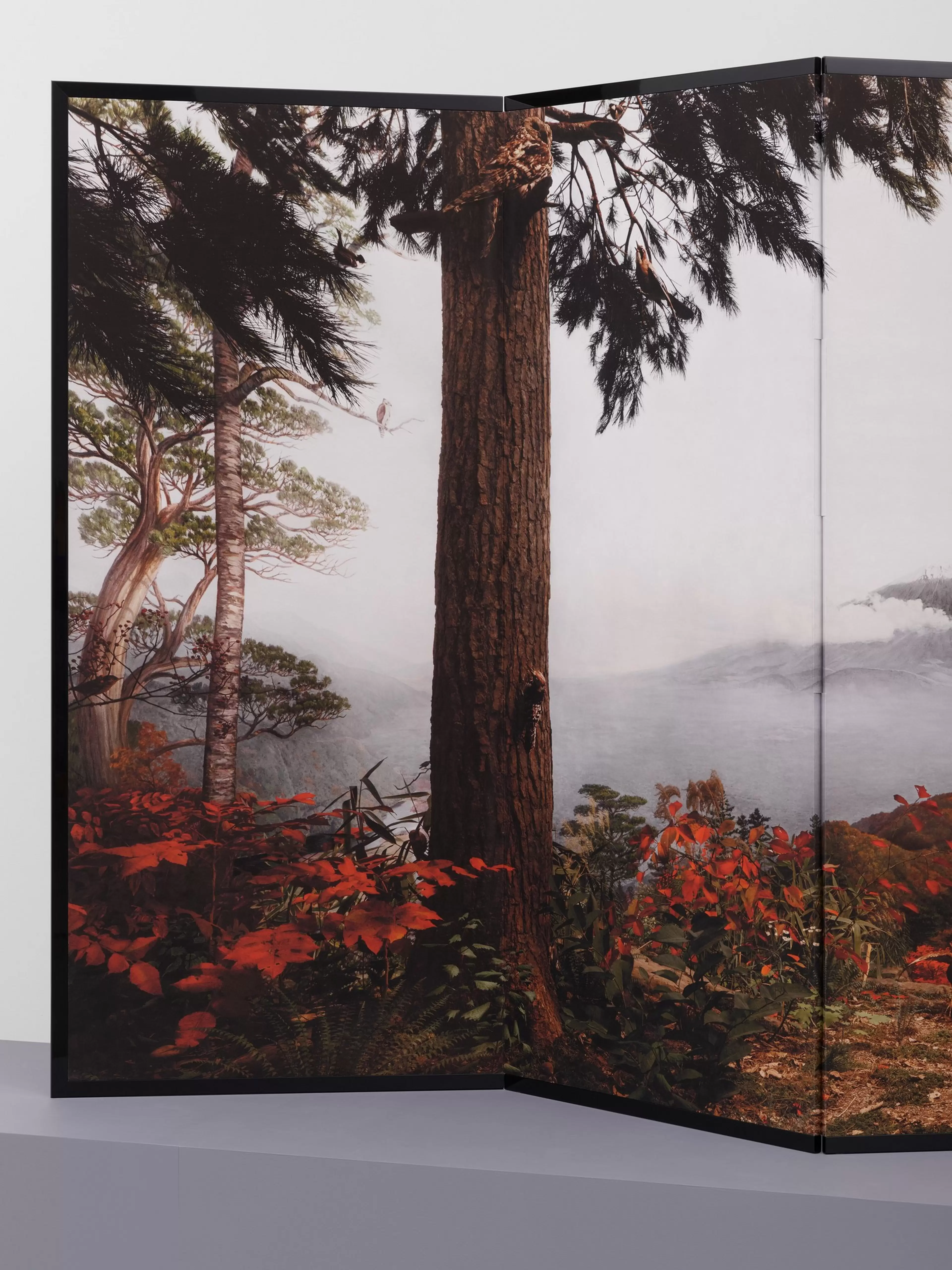 Birds of Japan by Hiroshi Sugimoto