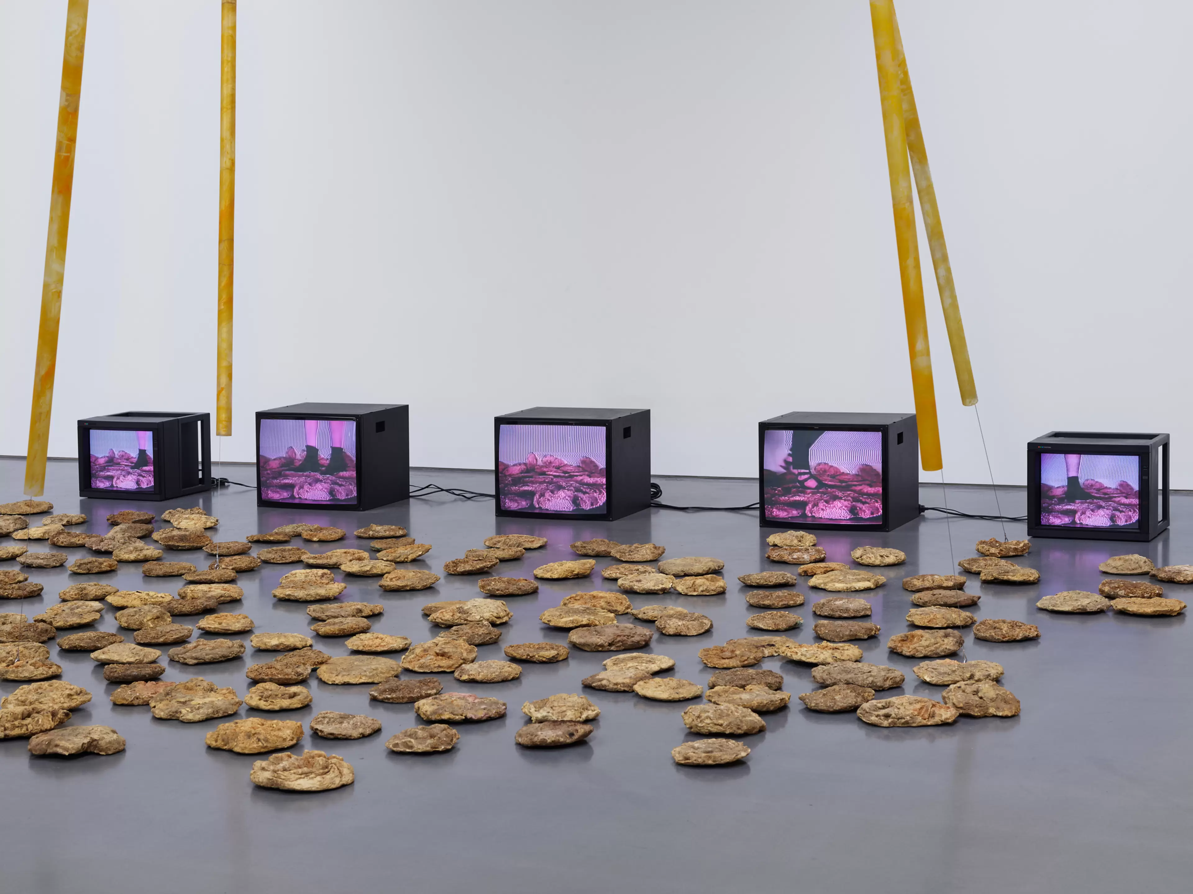 Carolee Schneemann Foundation artwork