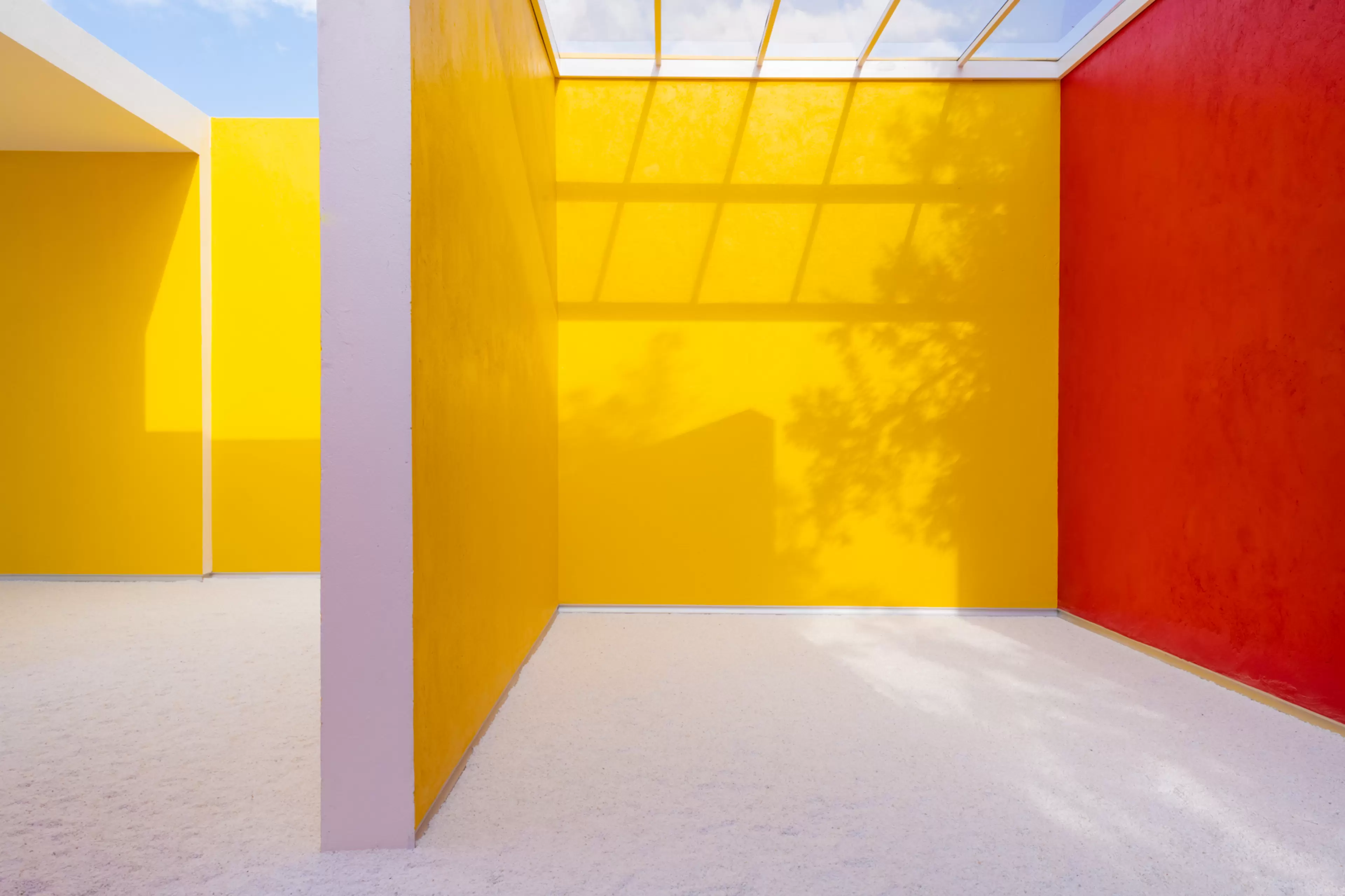 Estate of Hélio Oiticica artwork