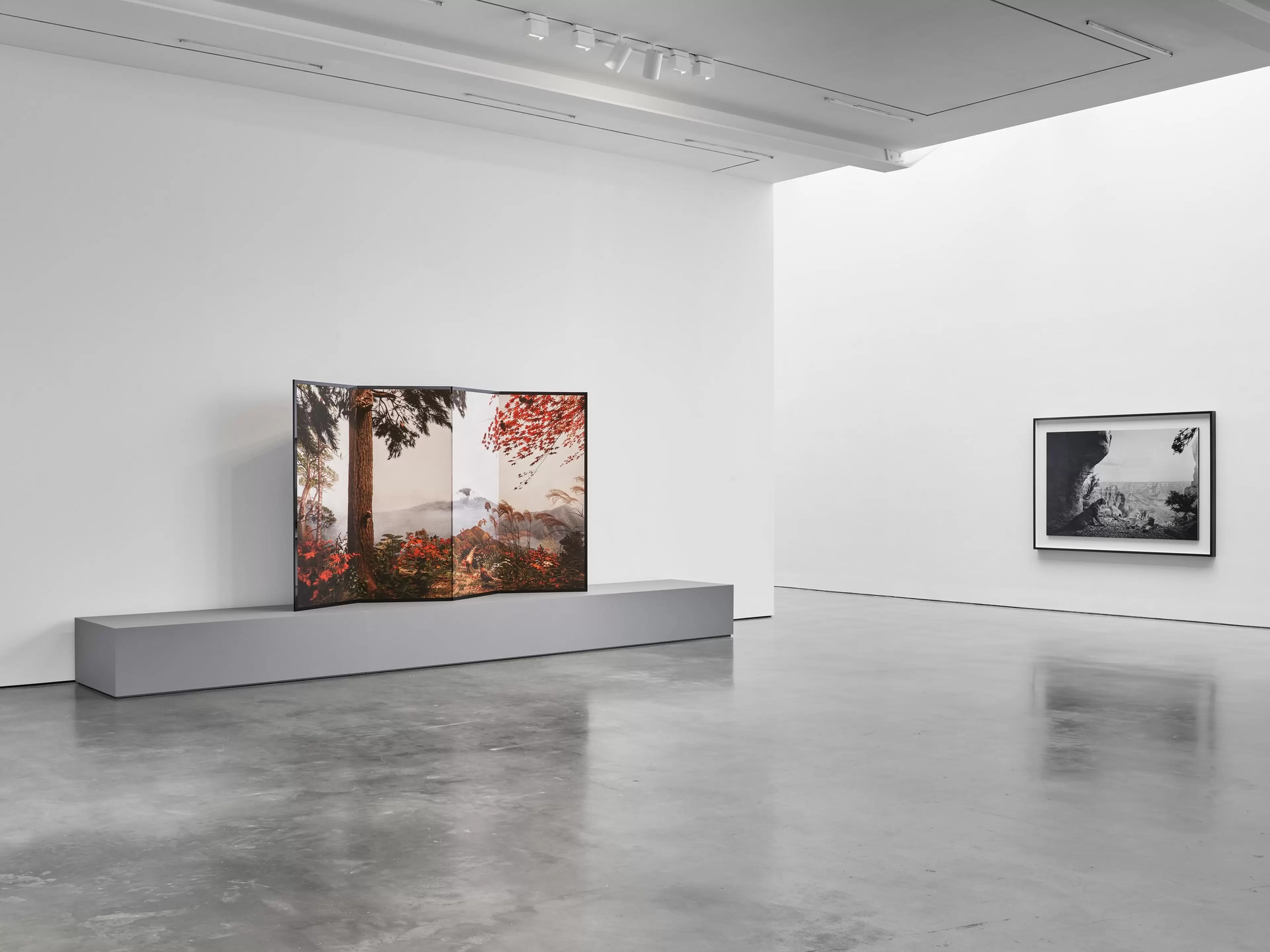 Installation view of Hiroshi Sugimoto: Unnatural Habitat 15 September – 24 October 2026 New York