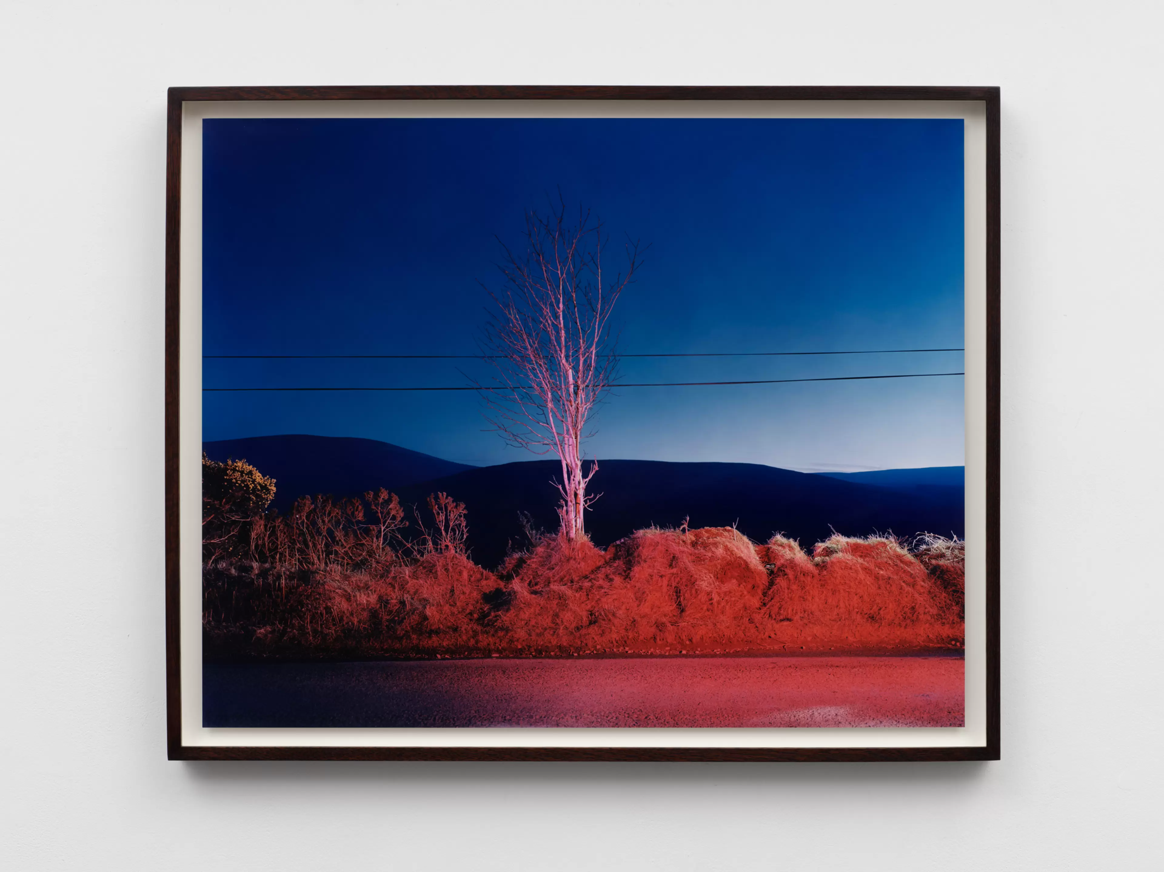 A country road. A tree. Evening. Somewhere between Tonygarrow and Cloon Wood, below Prince Williams Seat, Glancree, Co. Wicklow. by Gerard Byrne