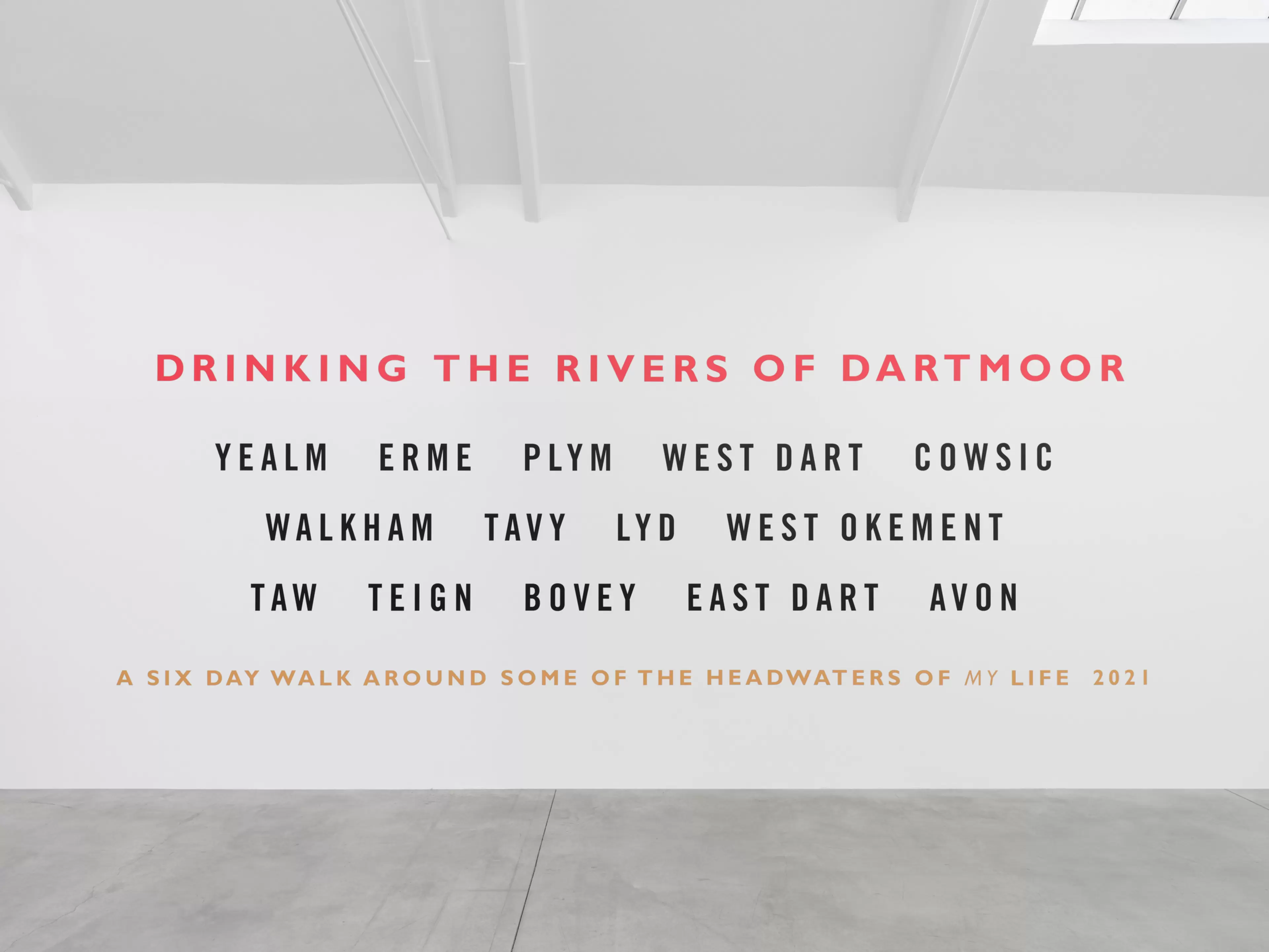Drinking the Rivers of Dartmoor