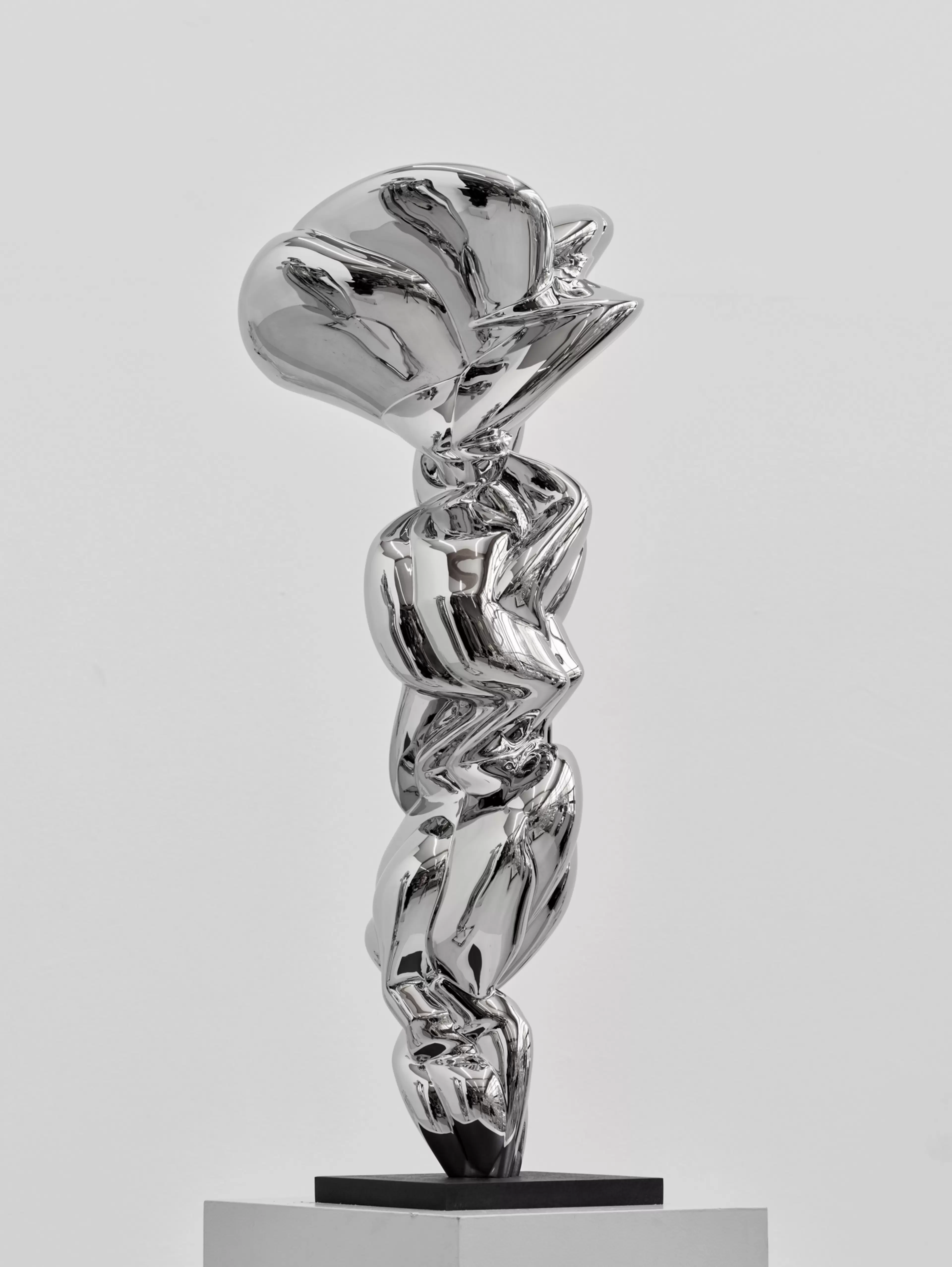 Justine by Tony Cragg