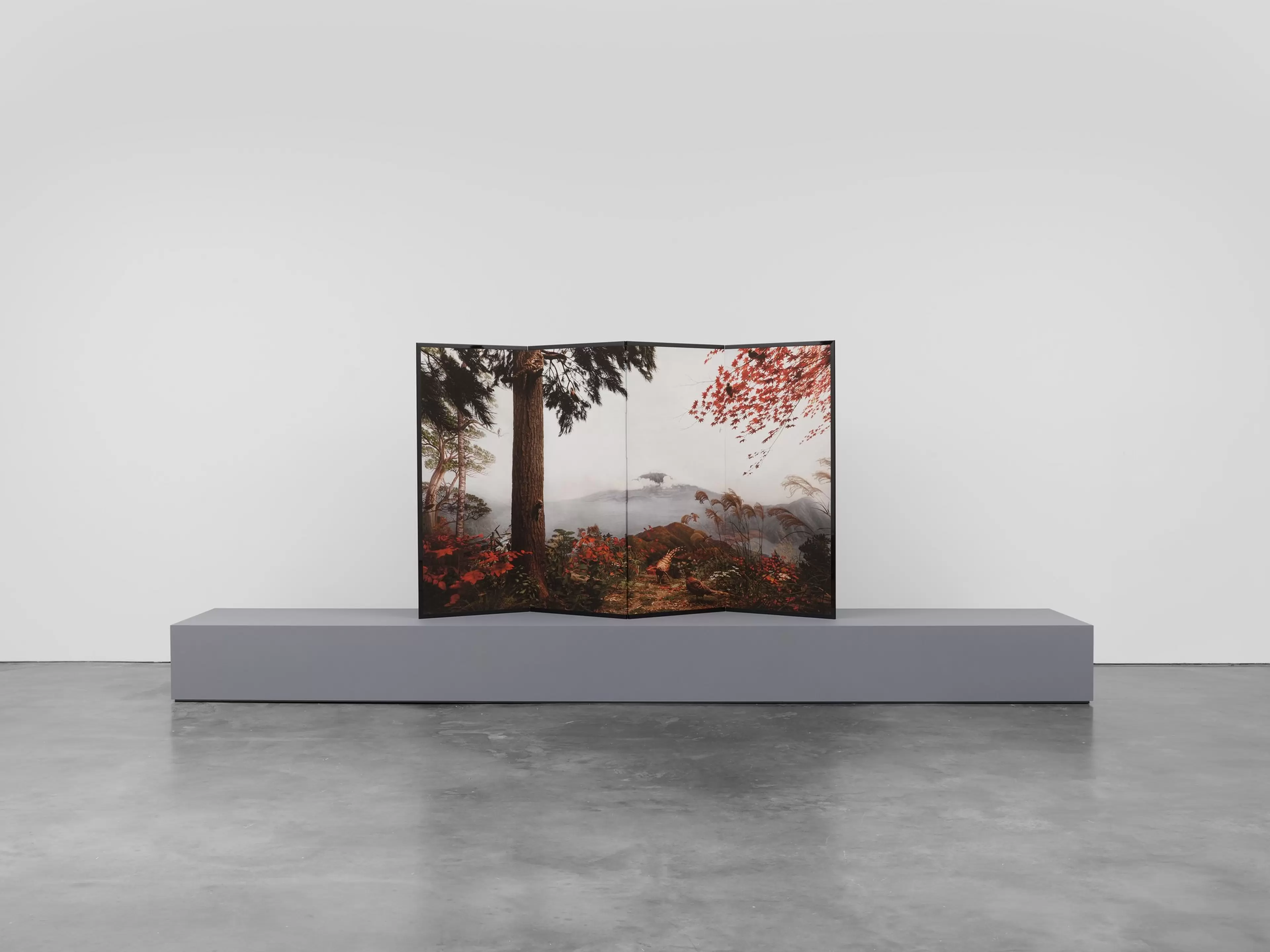 Birds of Japan by Hiroshi Sugimoto