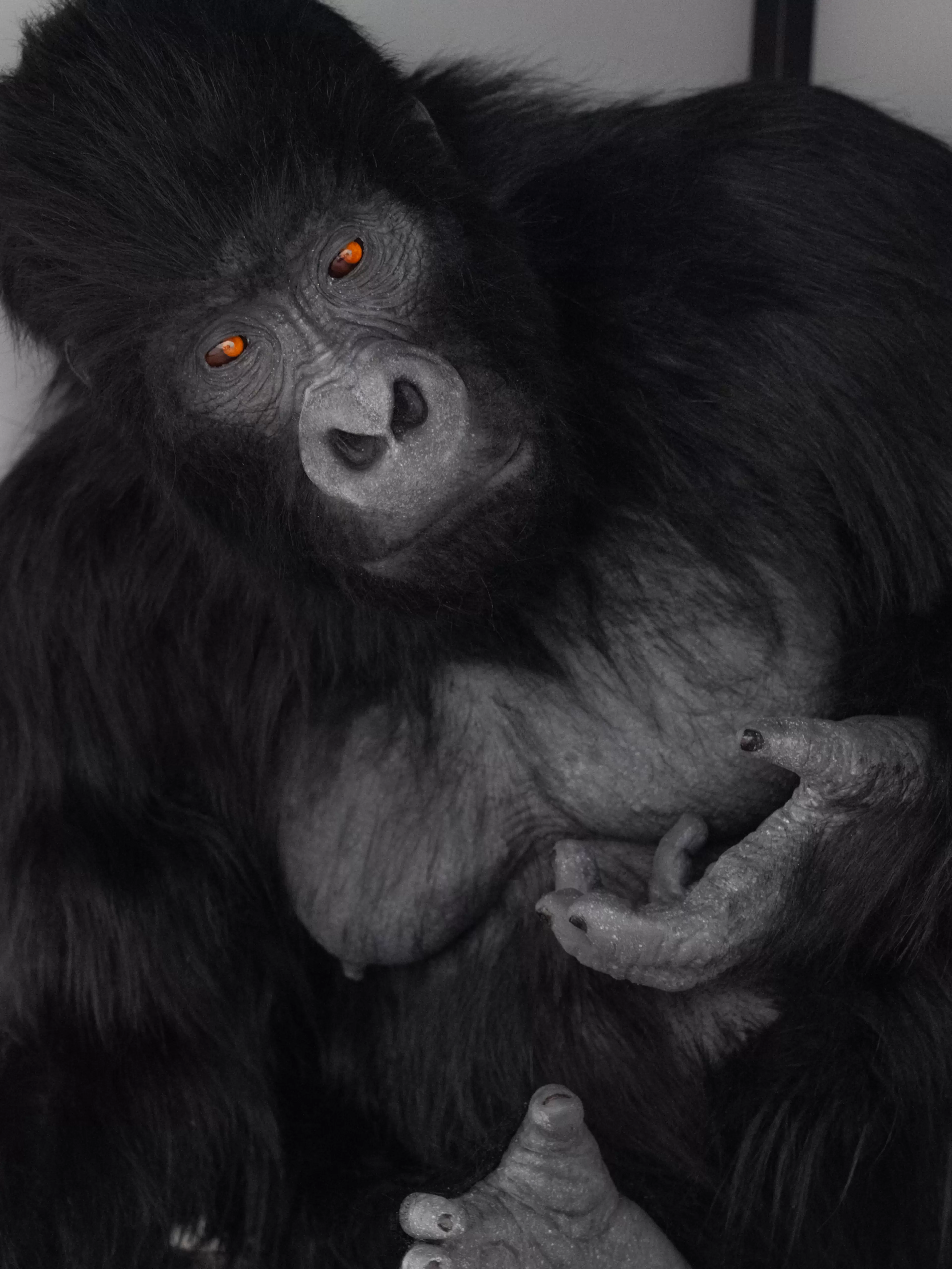 Ryan Gander artwork
