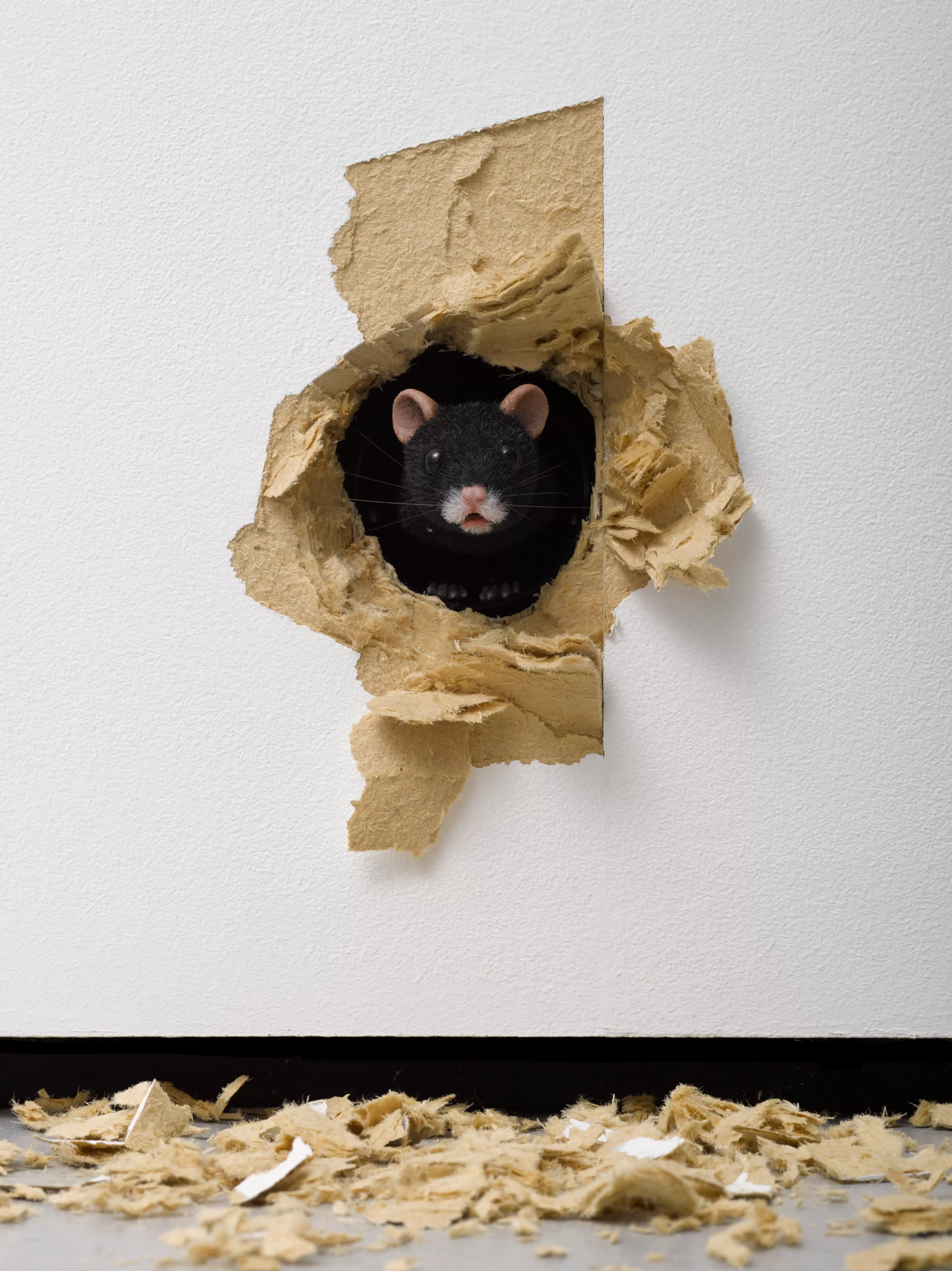 'The End' by Ryan Gander