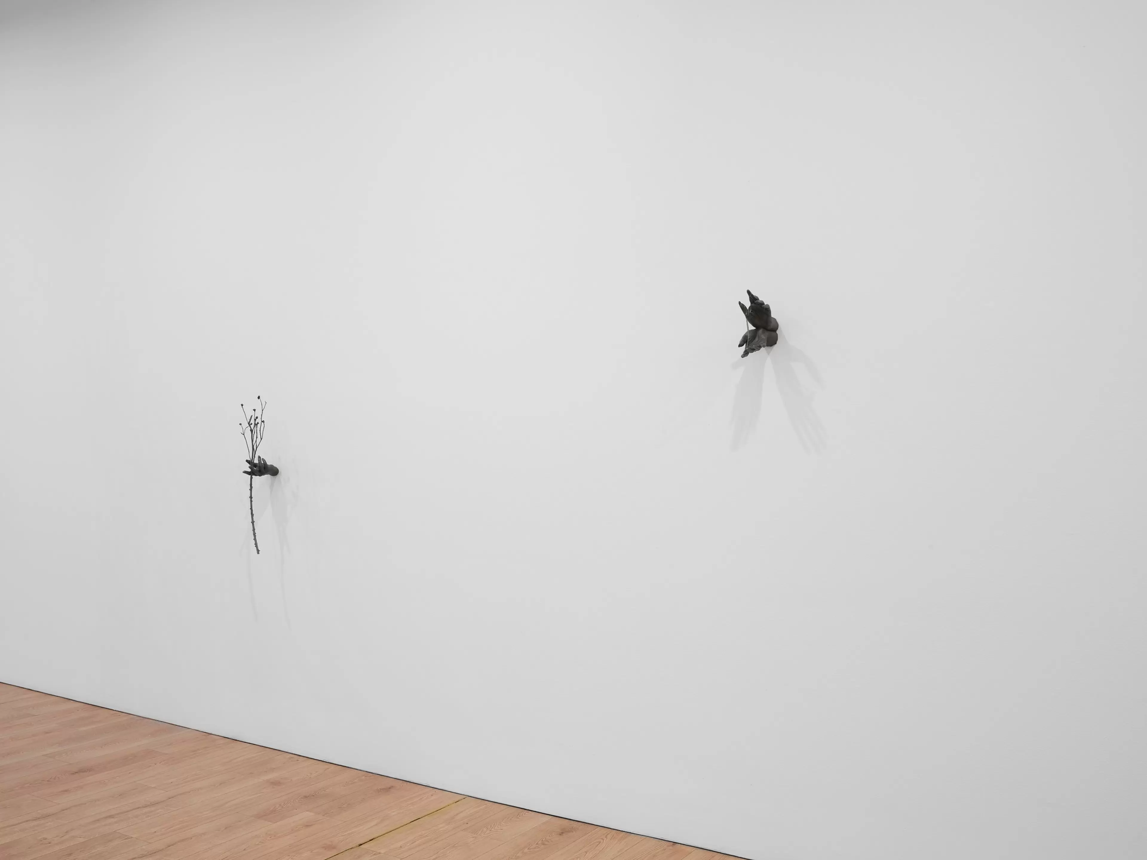 Kelly Akashi Installation Views